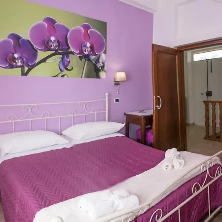 Vivere A Colori-2