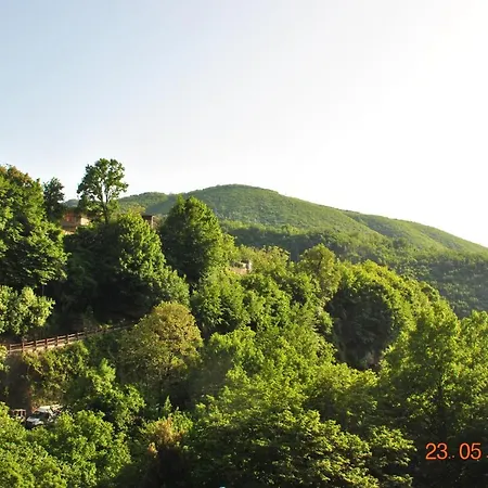 Vico Equense B&B 40 Steps-3