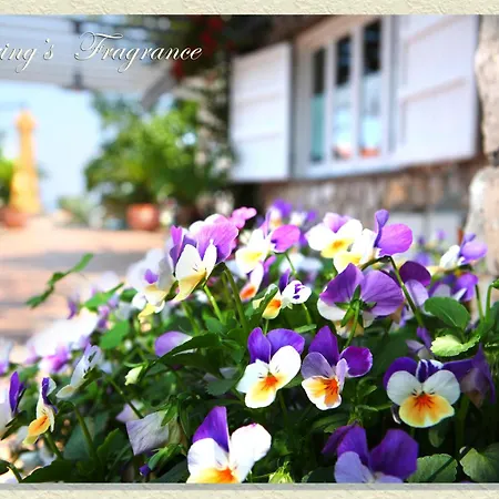 Villa Ketty Resort-2